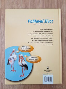 Pohlavní život - odpovědi na otázky - 2