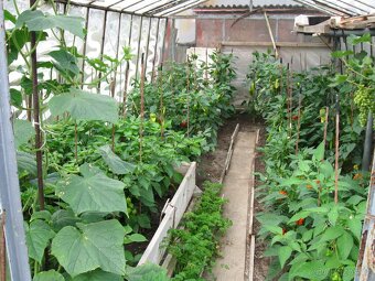 Prodej zahrádky - 2