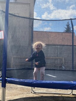 Trampolína Marimex 366 cm + vnitřní ochranná síť + schůdky - 2