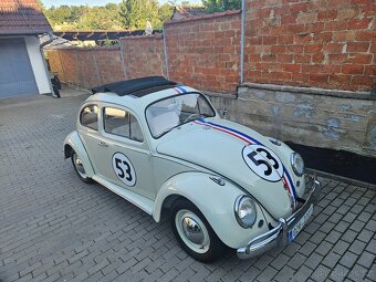 VW Brouk 1963 - Herbie - 2