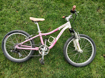 Dětské kolo Specialized Hotrock 20" - 2