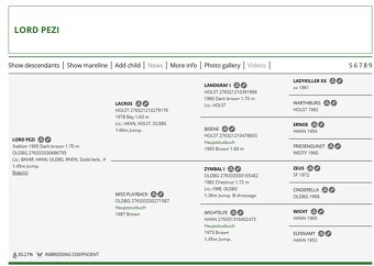 Hannoverská klisna - 2