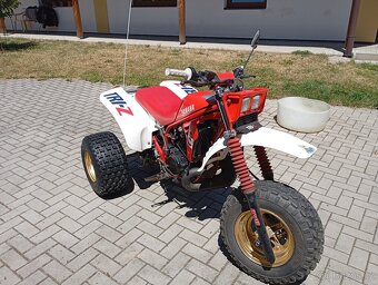 Yamaha TRI-Z 250 S - 2