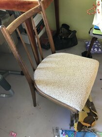 Čalouněné židle - 2