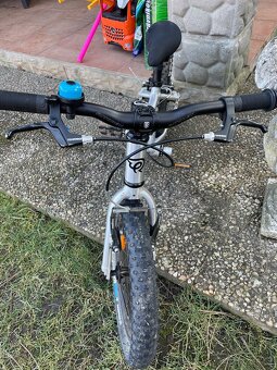 Early Rider Seeker 16 - 2