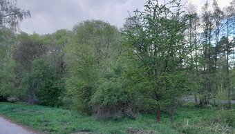 Pozemek, Dobříš, Rosovice - 2