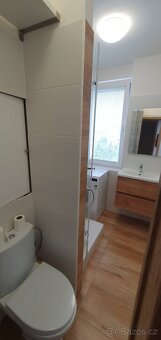 Pronájem bytu 2+1 po rekonstrukci Mohelnice - 2