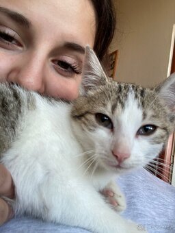 Daruji kocourka a kočičku. - 2