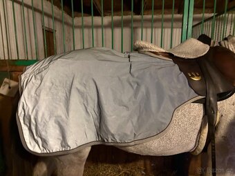 Reflexní bederní deka Kentucky - 2