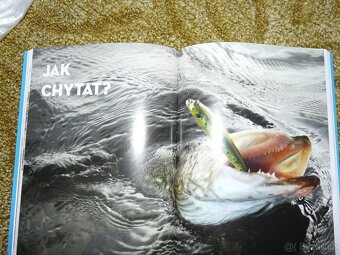 Prodám knihu o rybách - 2