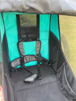 Thule Chariot Lite - 2