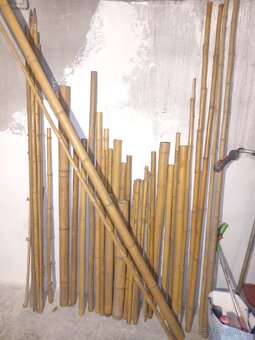 Bambus tyče mix, 1-3m, průměr 3-8cm - 2