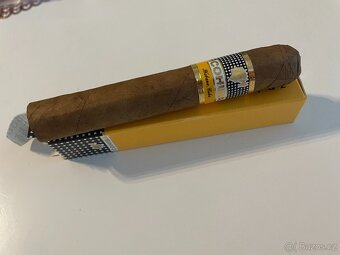 COHIBA Robusto - více kusů - 2