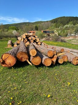 Modřínové dřevo - 2