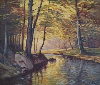 Vraný - Lesné zátišie - 2