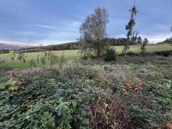 Prodej lesa 880m2 Radkovice - 2