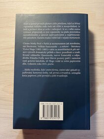 Chrám Matky Boží v Paříži - 2