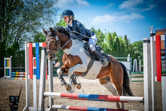 sportovní pony kat.B - 2