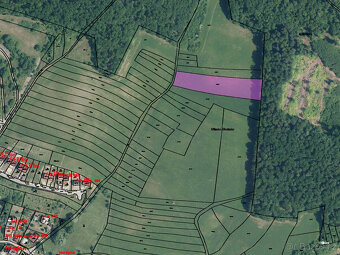 Prodej pozemků o výměře 5202 m2 v k.ú. Kanice (okr. Brno-ven - 2