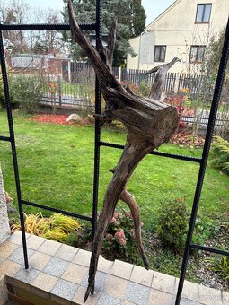 Kořen do akvária nebo terária - 2