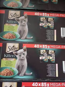 Kapsičky sheba pro koťátka - 2