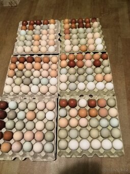 Násadové vejce mix - 2