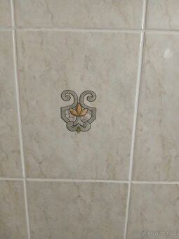 Koupim obklad Rako - 2