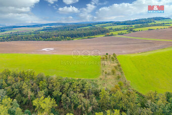 Prodej louky, 4161 m², Spálené Poříčí - 2