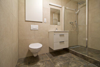 Pronájem, byt 1+kk, 54 m², Plzeň - Bolevec, ul. Plaská - 2