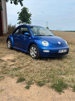 VW New Beetle - 2