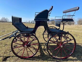 Drezurní kočár - 2