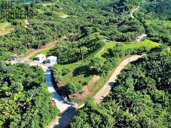 Falcon Valley Lot#12 Santos Guardiola, Roatan - 2