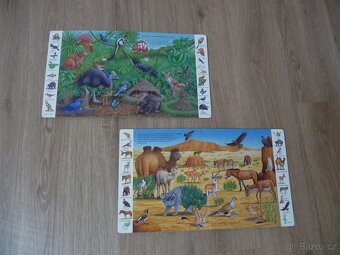 Svojtka & Co. Moje první obrázková knížka - Safari + V džung - 2