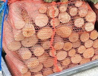 TVRDÉ PALIVOVÉ DŘEVO, POLENA, SUCHÉ IHNED NA TOPENÍ - 2