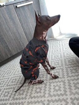 Maskáčový overal pro psy teplá bavlna mikina 48cm - 2