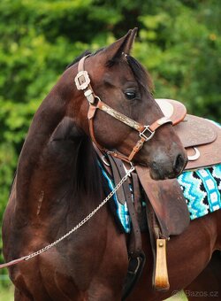 Na prodej: BR Electric Spook - 2