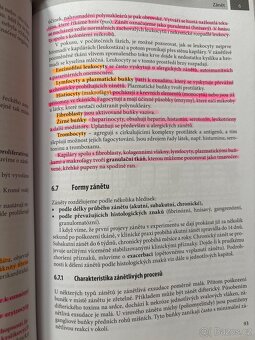 Patologie Jirka Mačák, Jana Dvořáčková - 2