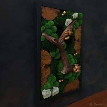 Mechový obraz / obraz ze stabilizovaného mechu - 2