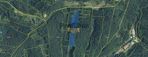 Prodej pozemek les, CP 21 494 m2, Všemina, okres Zlín - 2