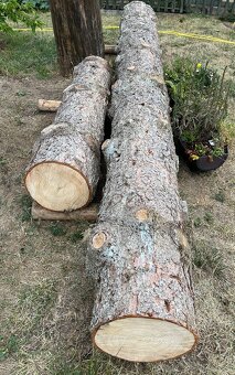 Kmen smrk stribrny pichlavy 4,1m rezivo kulatina - 2