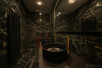 Pronájem bytu 3+KK, Plzeň - 2