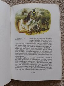 Sirotek lowoodský - 2