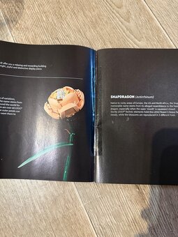 Kytice / Lego Botanicals - 2