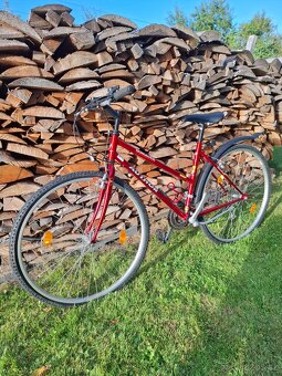 Dívčí horské kolo - 2