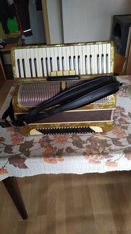 Akordeon Delicia Ligna - 2