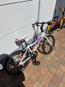 Kolo Rockmachine catherine 20” - 2