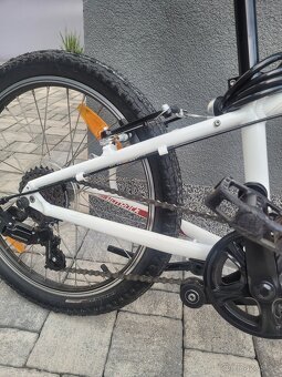 Kolo specialized vel.20 - 2