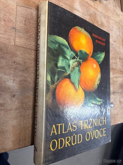 kniha Atlas Tržních odrůd ovoce 1958 - 2