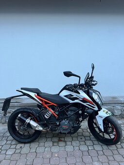 KTM Duke 125 r.v. 2019 - 2