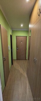 Pronajmu 1+1 na Košutce - 2